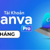 canva-pro-1-thang