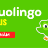 doulingo-plus