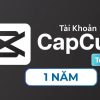 capcut-team-pro-1-nam