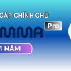 gamma-pro-1-nam