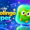 Tai-khoan-Duolingo-Super