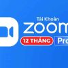 tai-khoan-zom-pro-12th