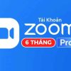 tai-khoan-zom-pro-6th