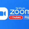 tai-khoan-zoom-pro