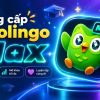 Tai-khoan-Duolingo-Max