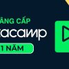 datacamp-premium-12-thang