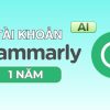 grammarly 1 năm