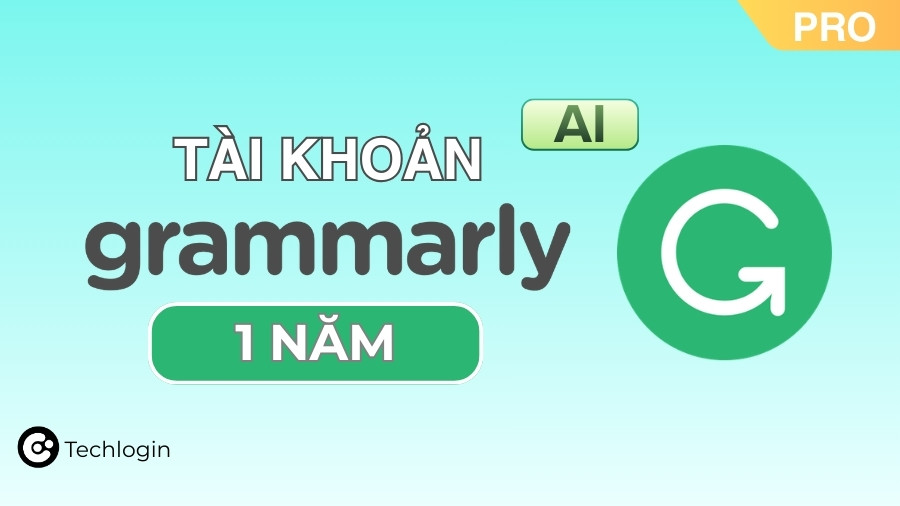 grammarly 1 năm