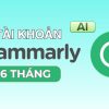 grammarly 6 tháng