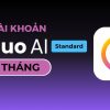 hailuo-ai-standard-1thang