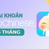 Hello Chinese Premium Plus 6 Tháng - Tài khoản