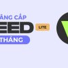 veed-lite-1-thang