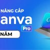 canva-2-nam