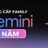 gemini-nang-cap-family